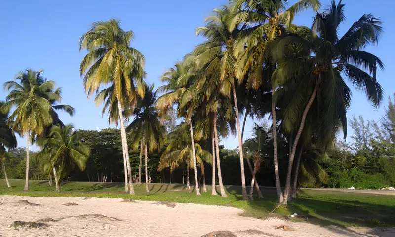 playa larga cuba beach